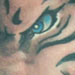 Tattoos - TIGER - 14545